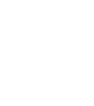 VNM Simulation